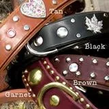 1.5" Wide Basic Leather Dog Collar with Nameplate