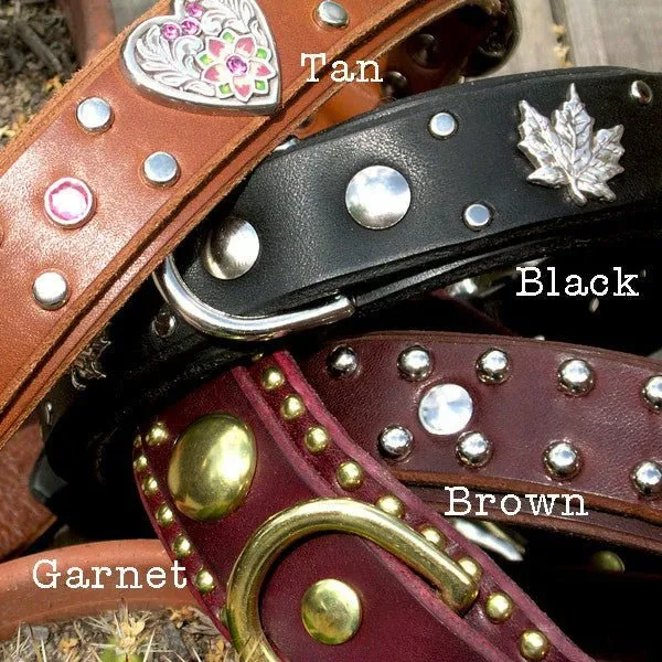1.5" Wide Studded Leather Dog Collar with Nameplate