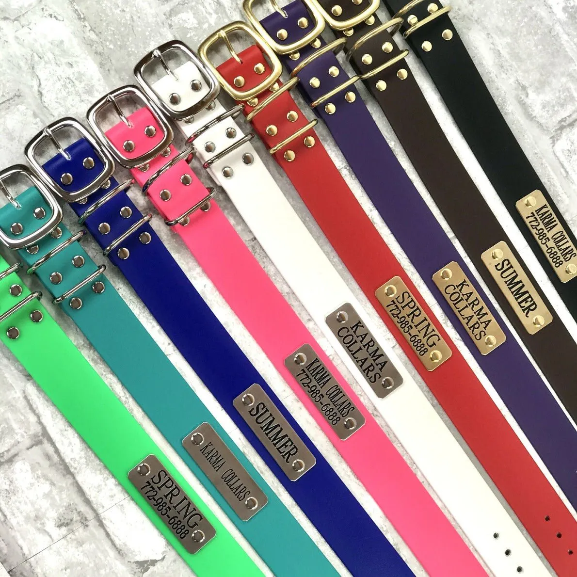 1.5" Wide Waterproof Dog Collar with Nameplate