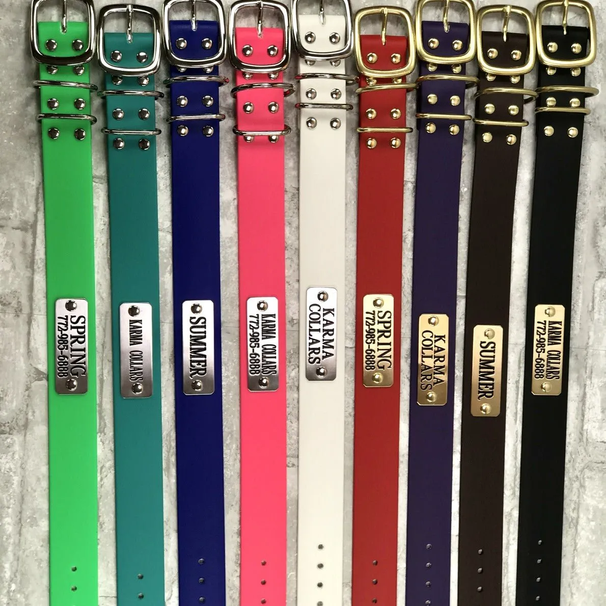 1.5" Wide Waterproof Dog Collar with Nameplate