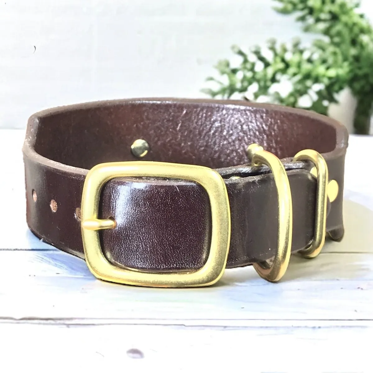 2" Wide Dog Collar with Stallion Size Nameplate