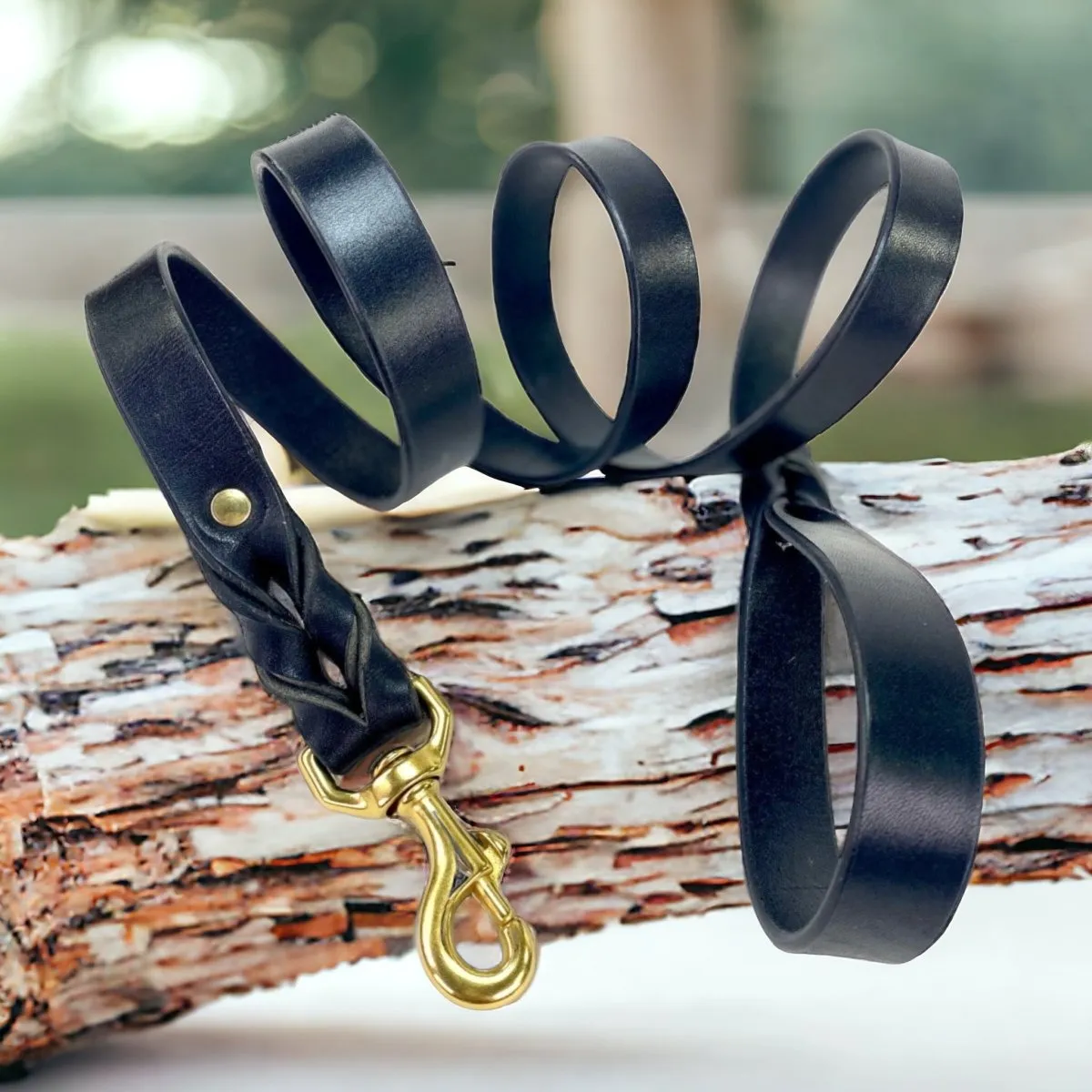 2" Wide Dog Collar with Stallion Size Nameplate
