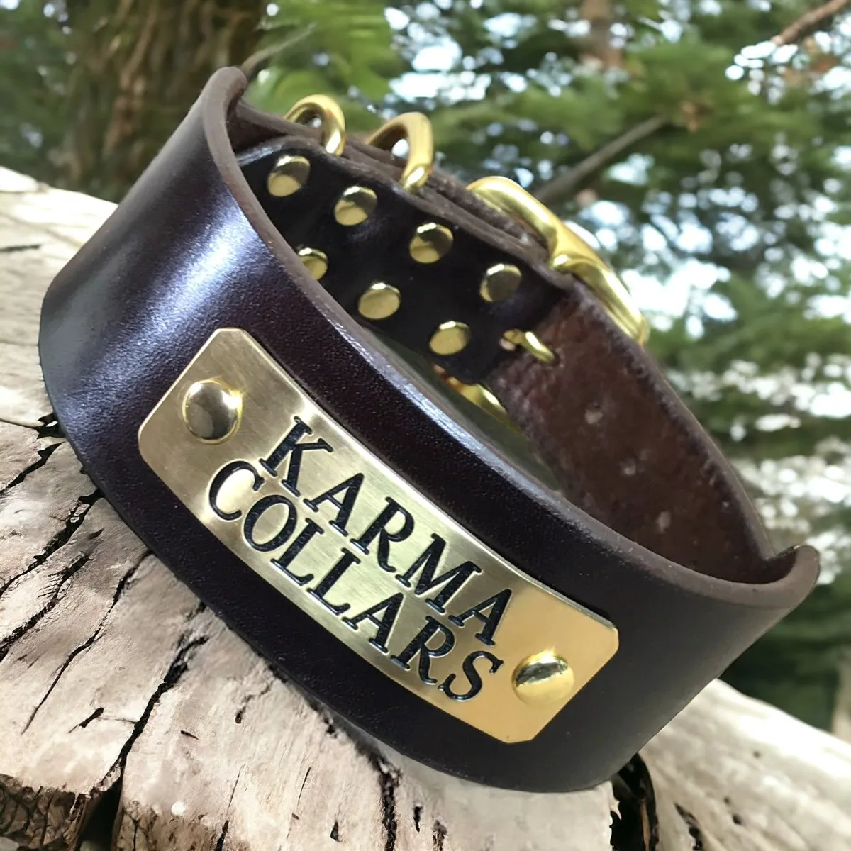 2" Wide Dog Collar with Stallion Size Nameplate