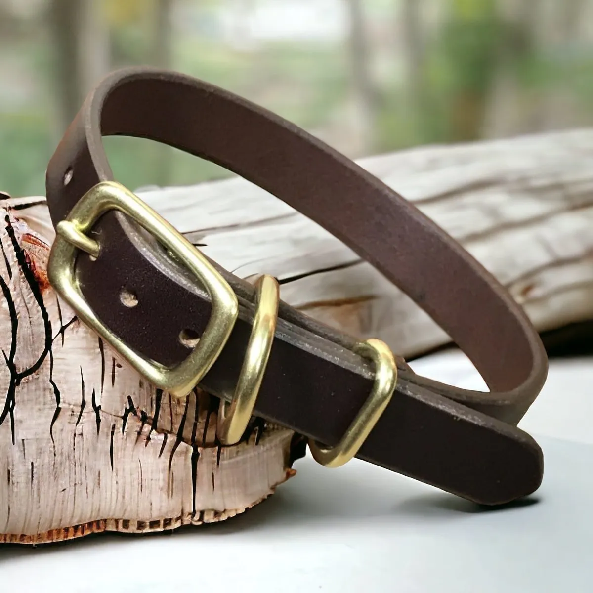 3/4" Wide Basic Leather Dog Collar with Nameplate