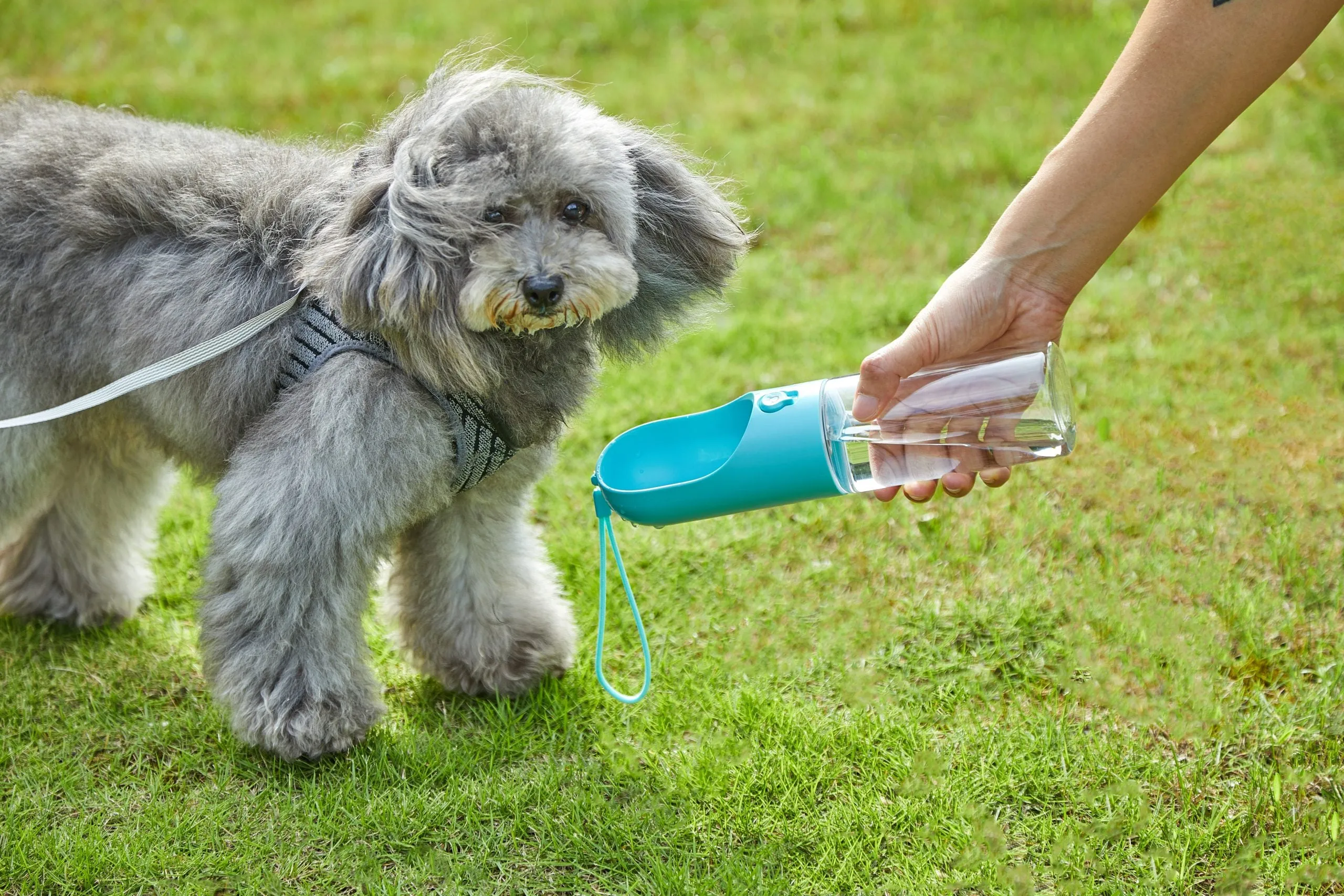 400ml Pet Water Bottle - Blue