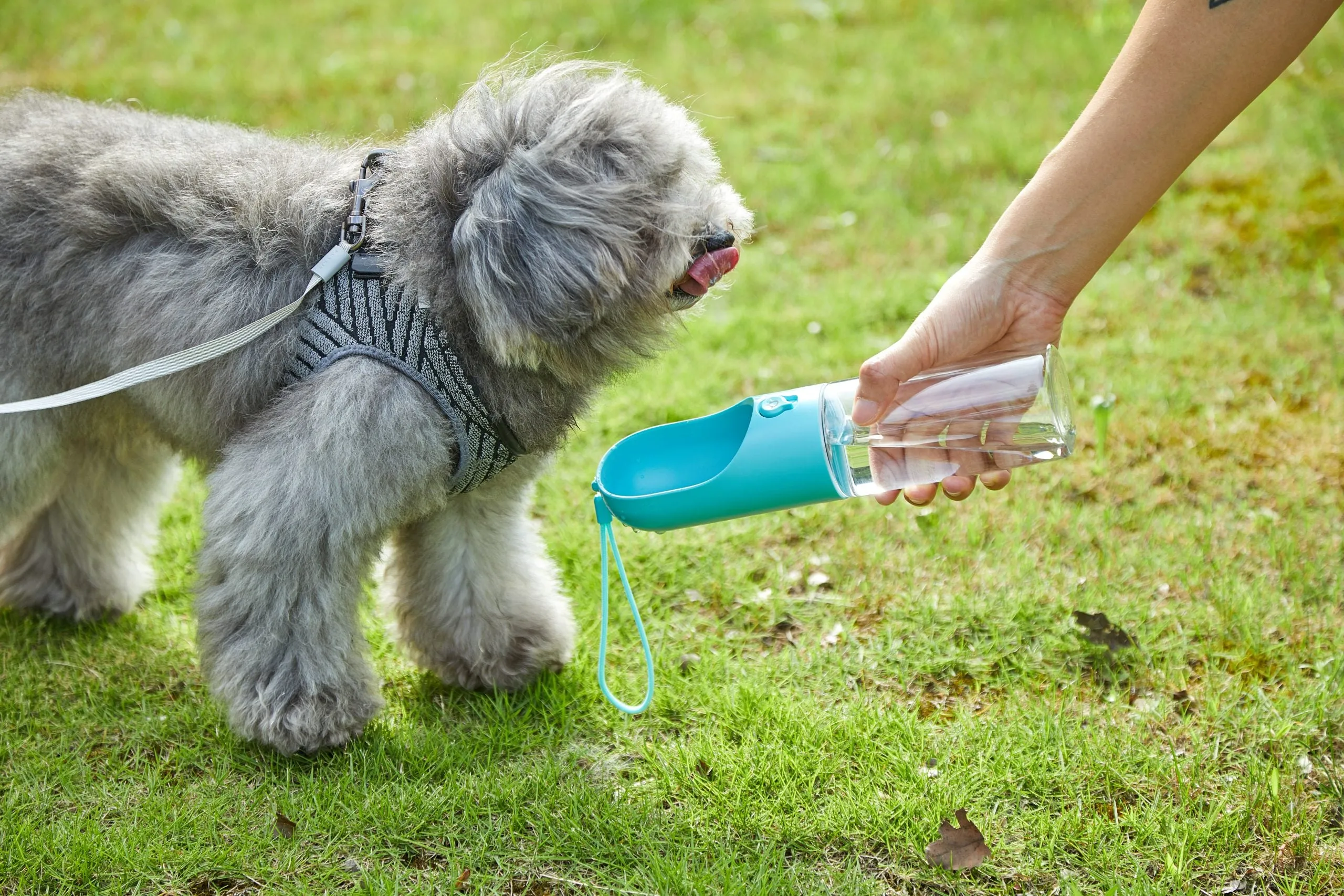 400ml Pet Water Bottle - Blue