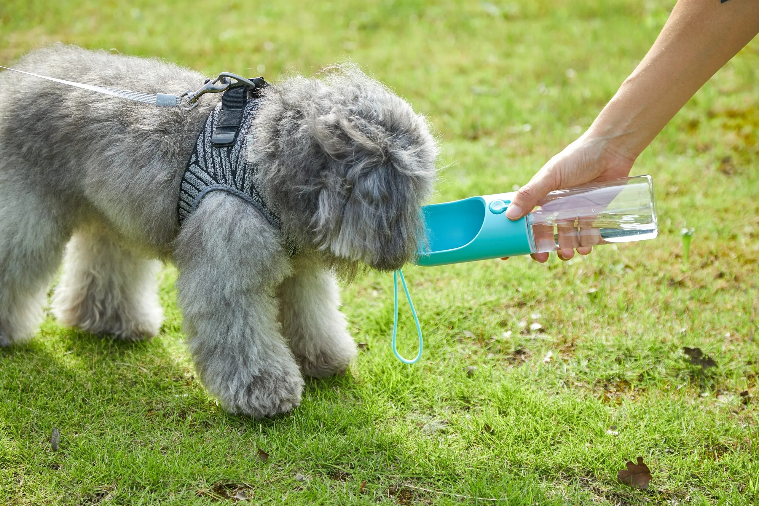 400ml Pet Water Bottle - Blue