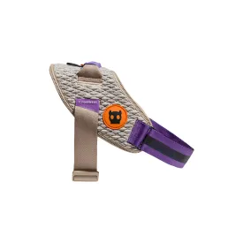 ACG Fly Harness