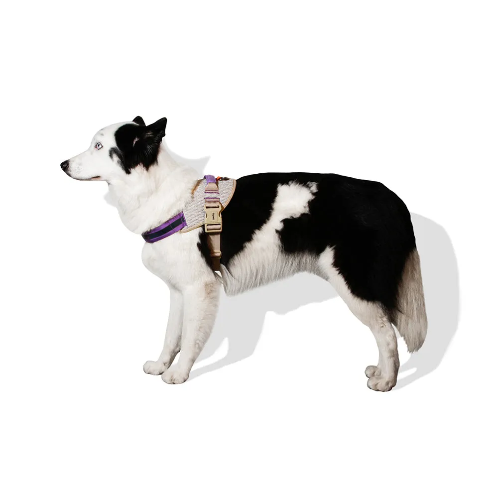 ACG Fly Harness