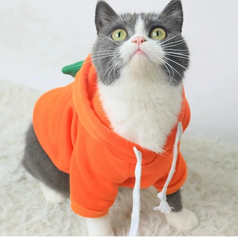 ANIAC Funny Pet Clothes for Small Dog Cat Carrot Dog Hoodies Warm Puppy Sweatshirt Coat with Fruit Hood Fall Puppy Cat Sweater Halloween Easter Dog Carrot Costume (Orange, Small)
