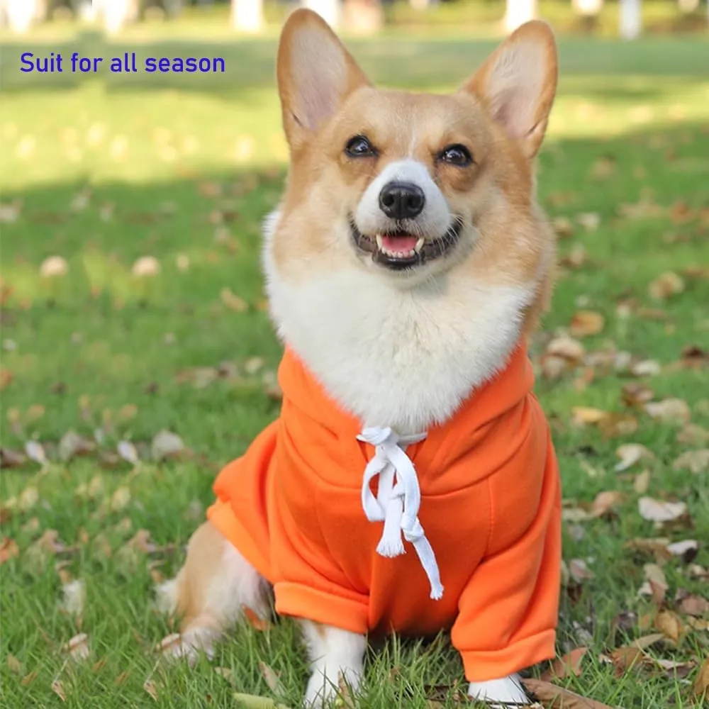 ANIAC Funny Pet Clothes for Small Dog Cat Carrot Dog Hoodies Warm Puppy Sweatshirt Coat with Fruit Hood Fall Puppy Cat Sweater Halloween Easter Dog Carrot Costume (Orange, Small)