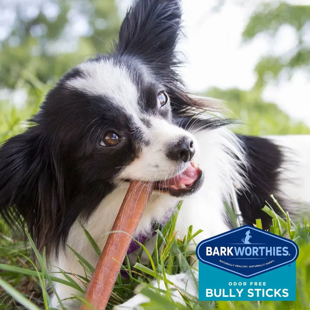 Barkworthies Odor-Free Bully Sticks Treats For Dogs