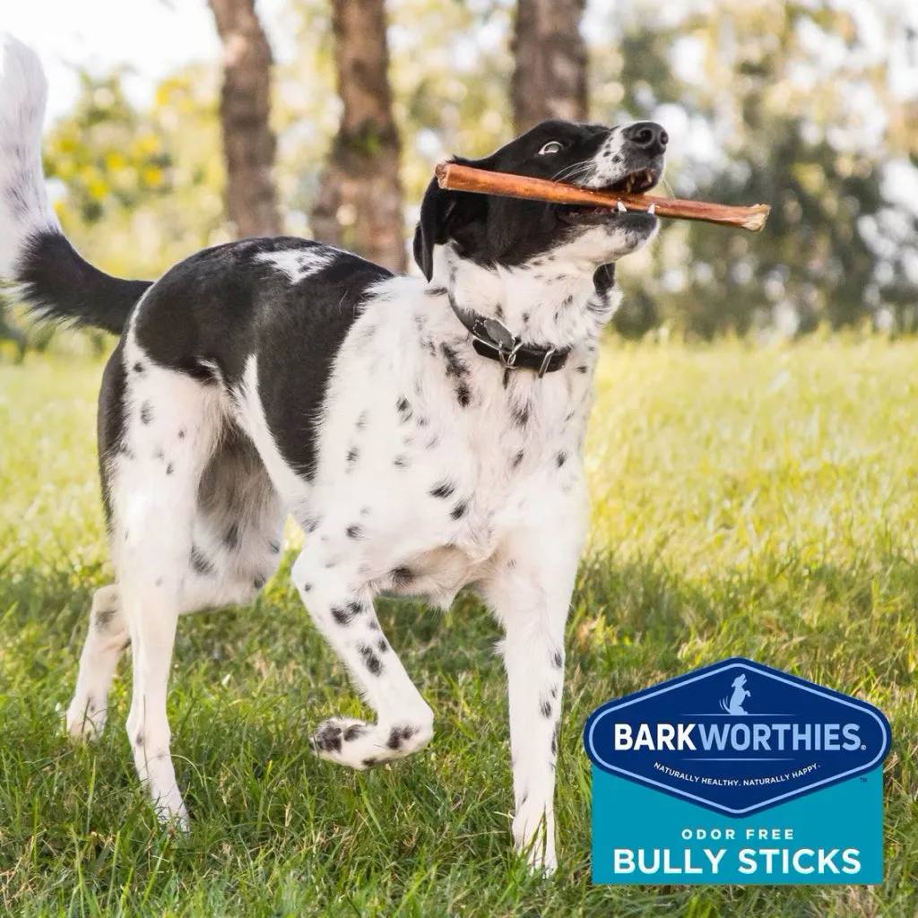 Barkworthies Odor-Free Bully Sticks Treats For Dogs