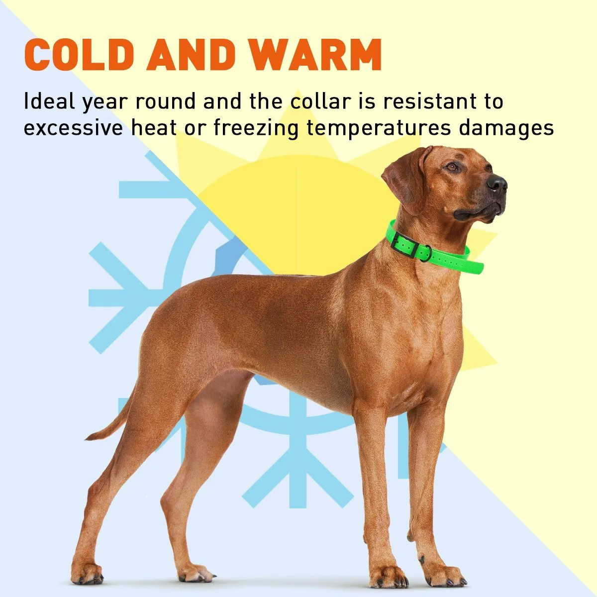 Biothane E-Collar Replacement Strap