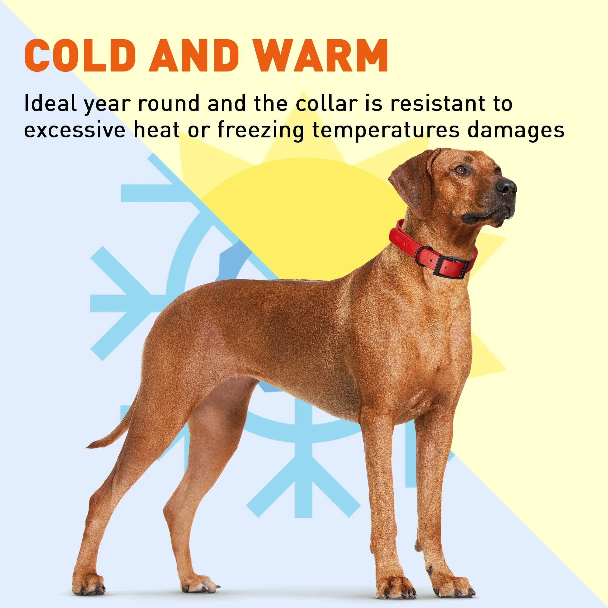 Biothane Waterproof Collar - X-Small (9 to 12 inches)