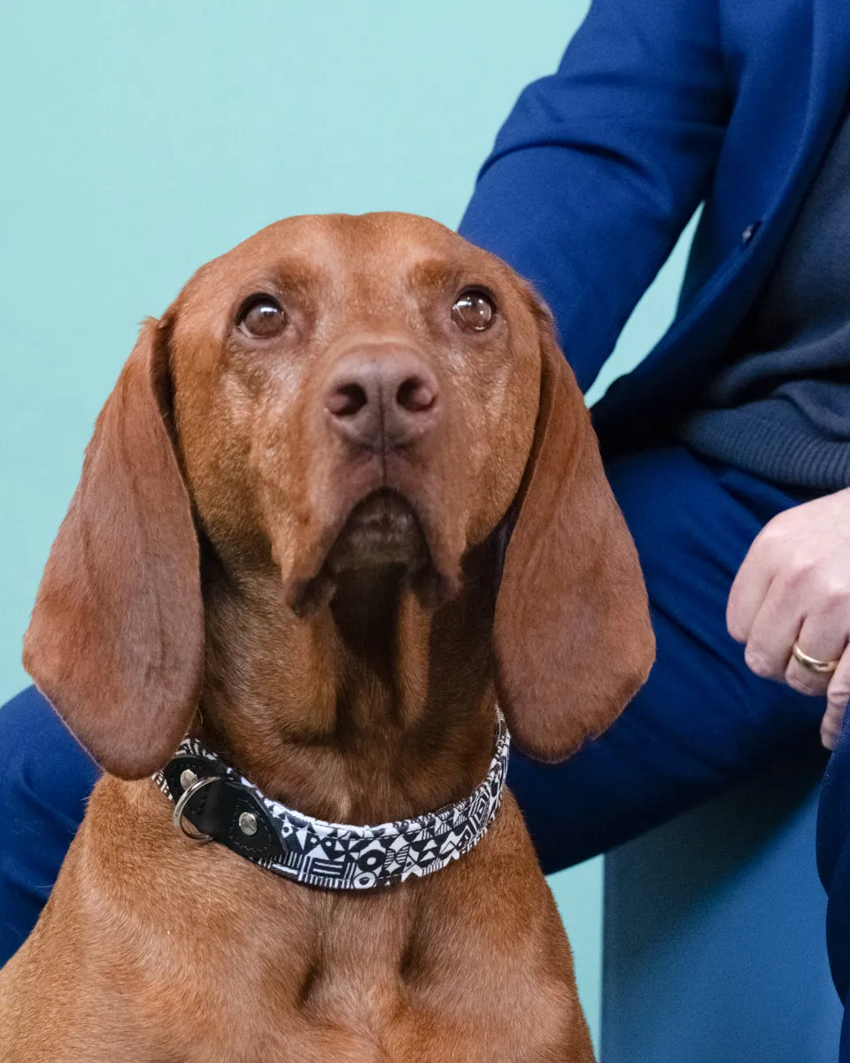Bow Wow Haus Dog Collar