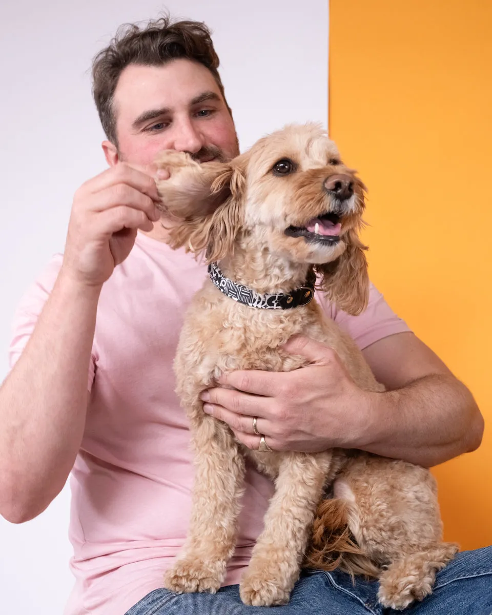 Bow Wow Haus Dog Collar