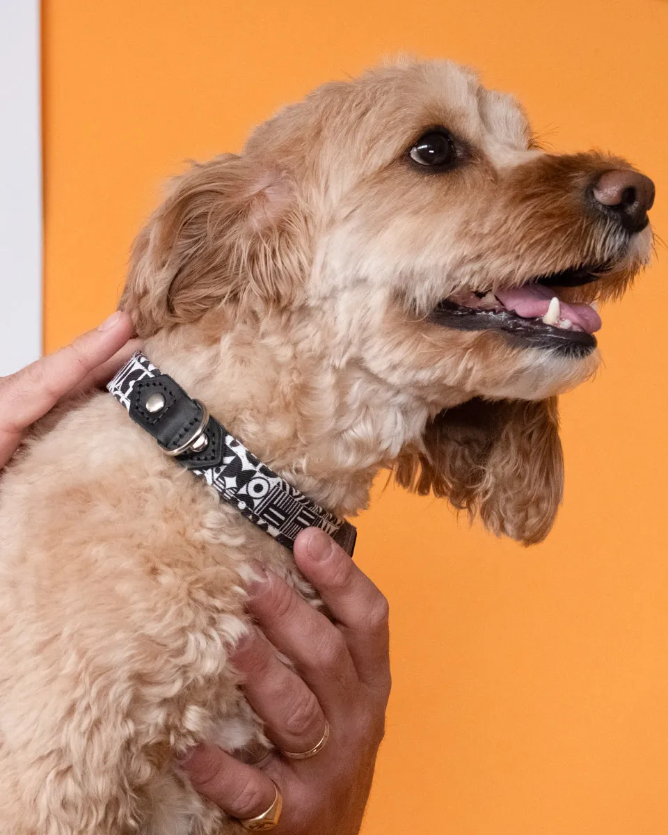 Bow Wow Haus Dog Collar
