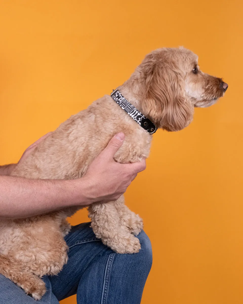 Bow Wow Haus Dog Collar