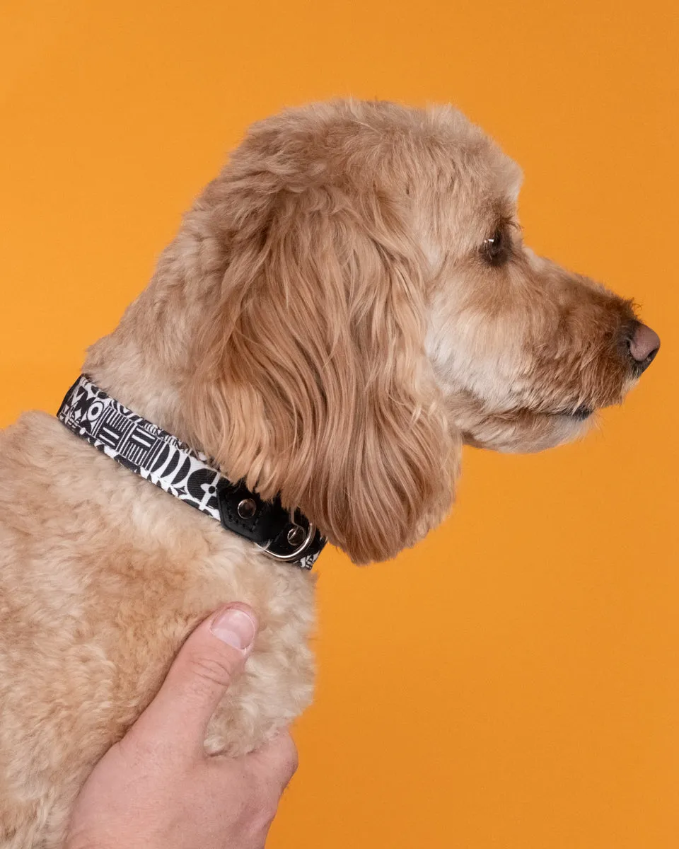 Bow Wow Haus Dog Collar