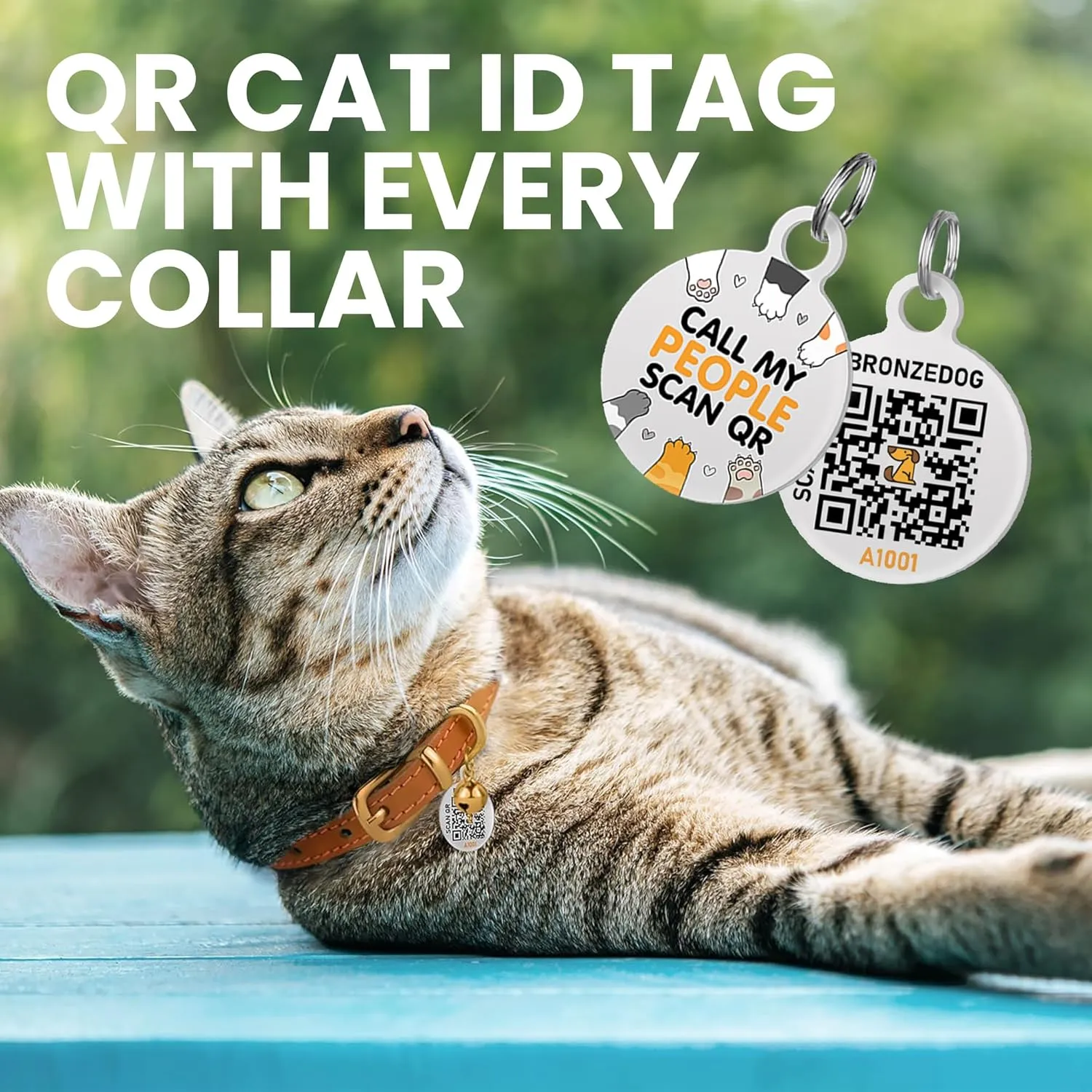 BRONZEDOG Leather Cat Collar with Removable Bells Non Breakaway Kitten QR Tag for Girl Boy (9" - 12" Cats/Mini Dogs, Dark Brown & Gold)