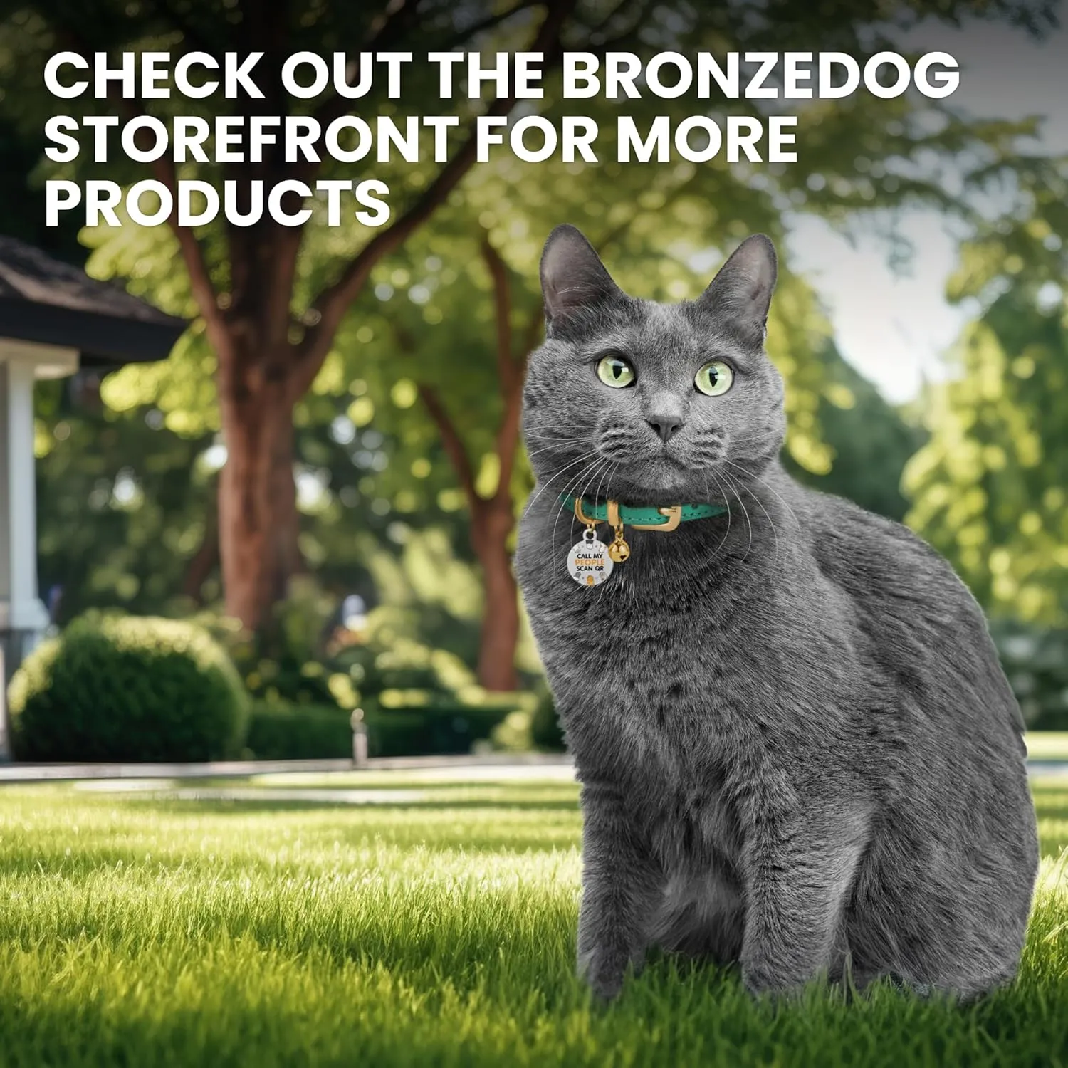 BRONZEDOG Leather Cat Collar with Removable Bells Non Breakaway Kitten QR Tag for Girl Boy (9" - 12" Cats/Mini Dogs, Dark Brown & Gold)