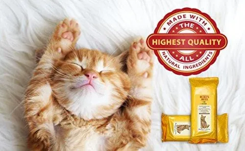 Burt's Bees For Cats Natural Dander Reducing Wipes | Kitten and Cat Wipes For Grooming, 50 Count