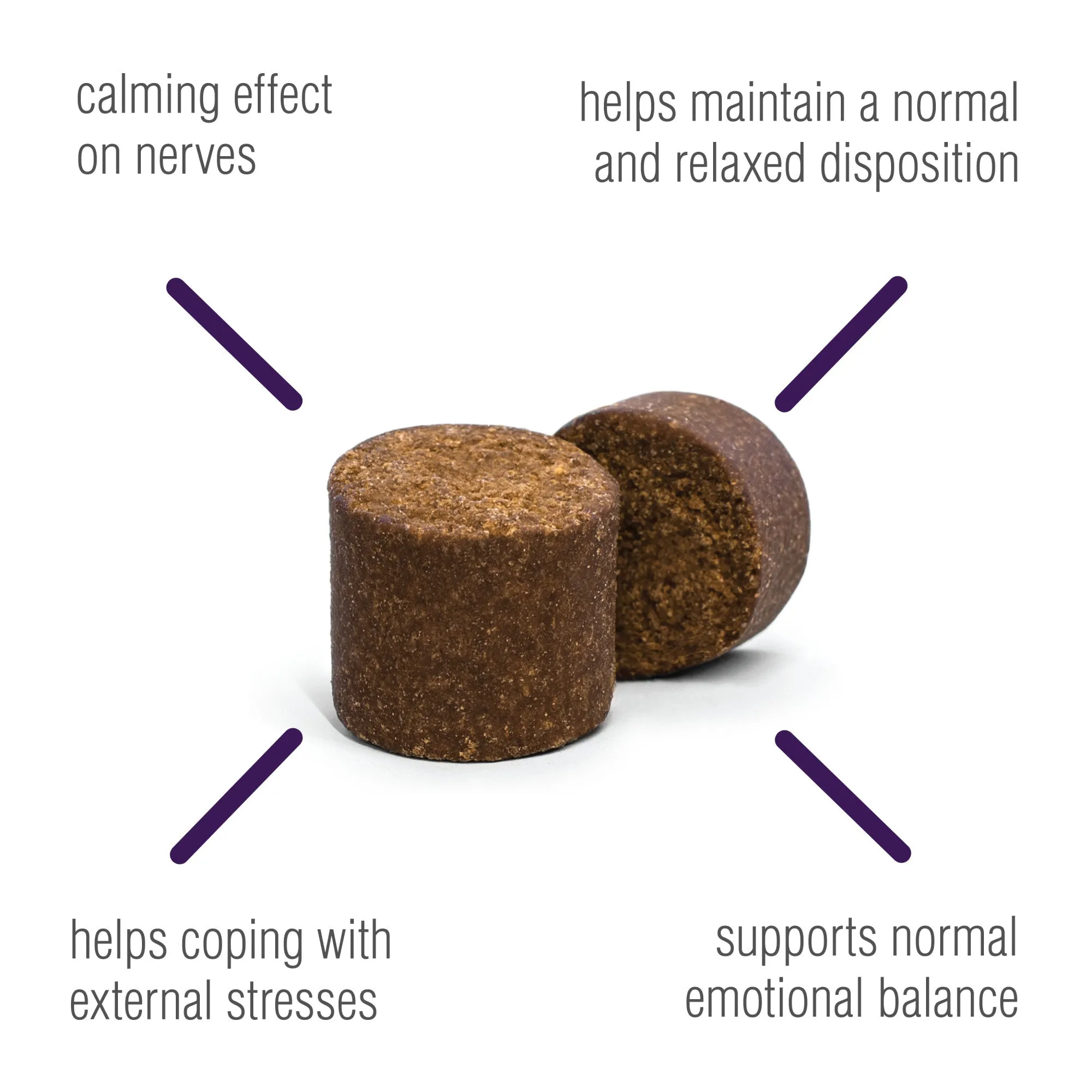 Calming Aid Anxiety Soft Chews