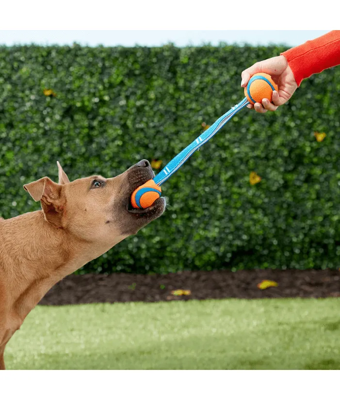 Chuckit! Ultra Duo Dog Tug Toy