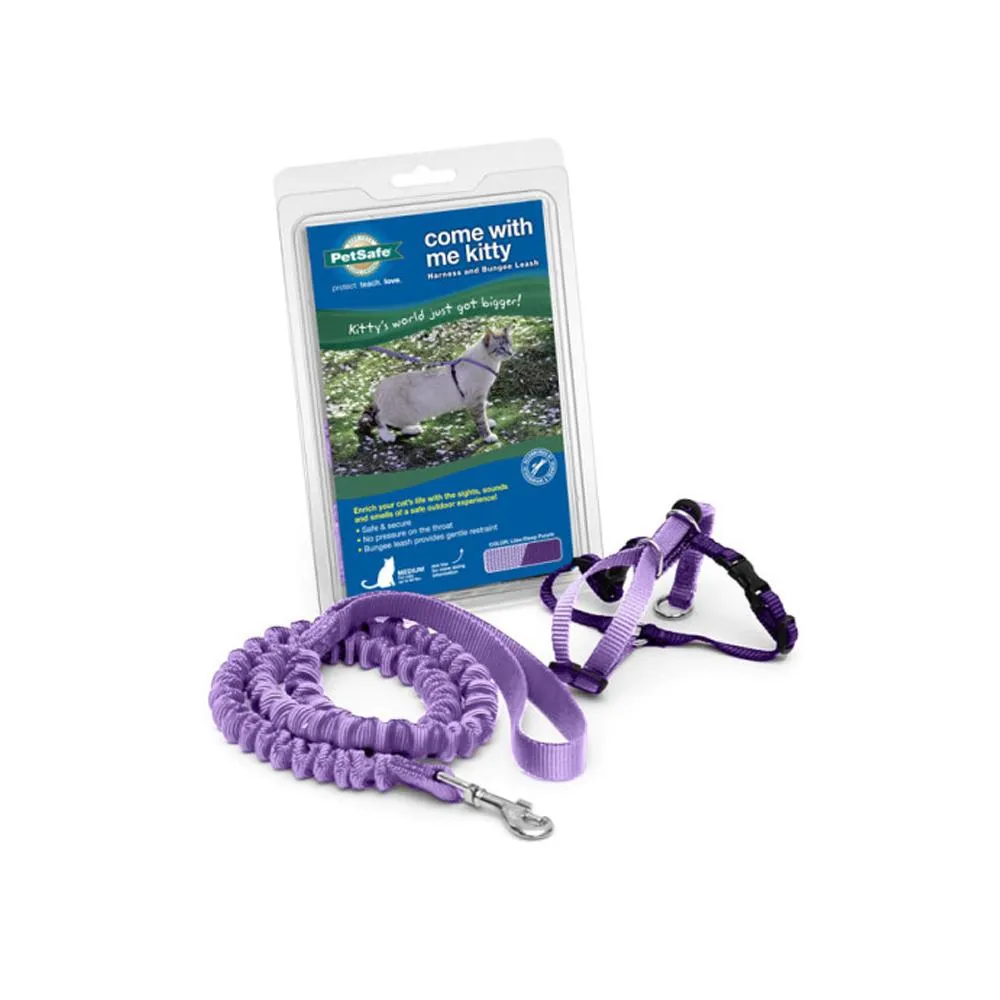 Come With Me Kitty Harness and Bungee Leash