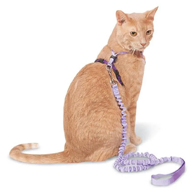 Come With Me Kitty Harness and Bungee Leash