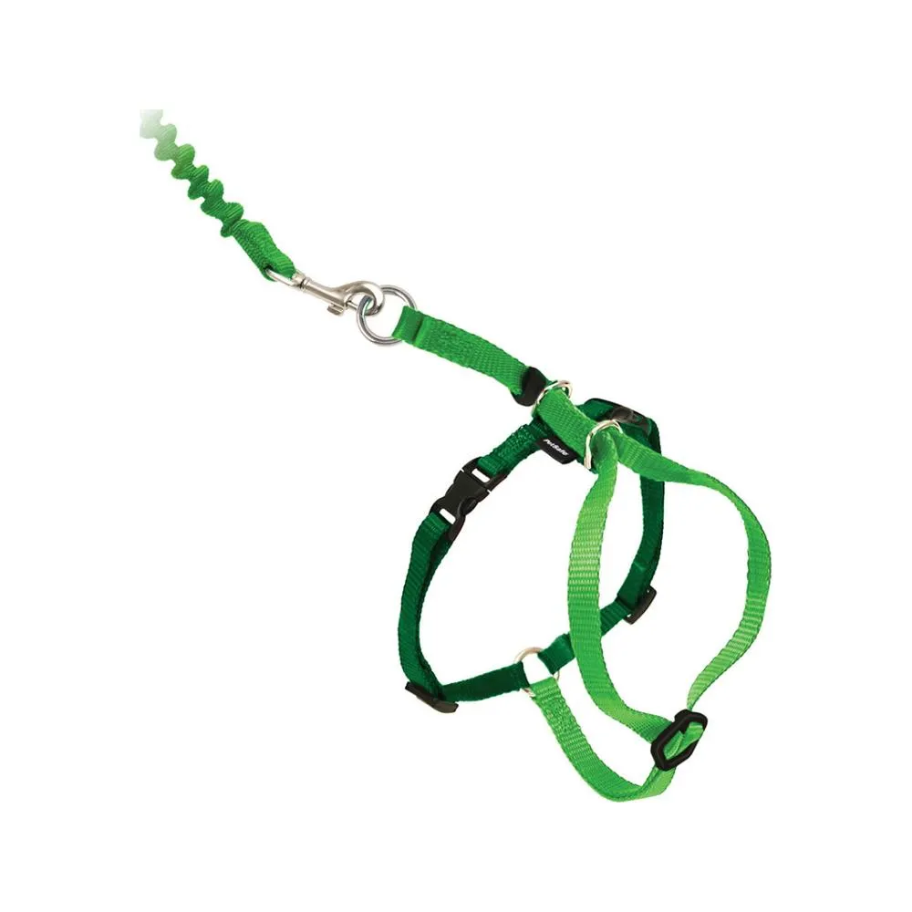 Come With Me Kitty Harness and Bungee Leash