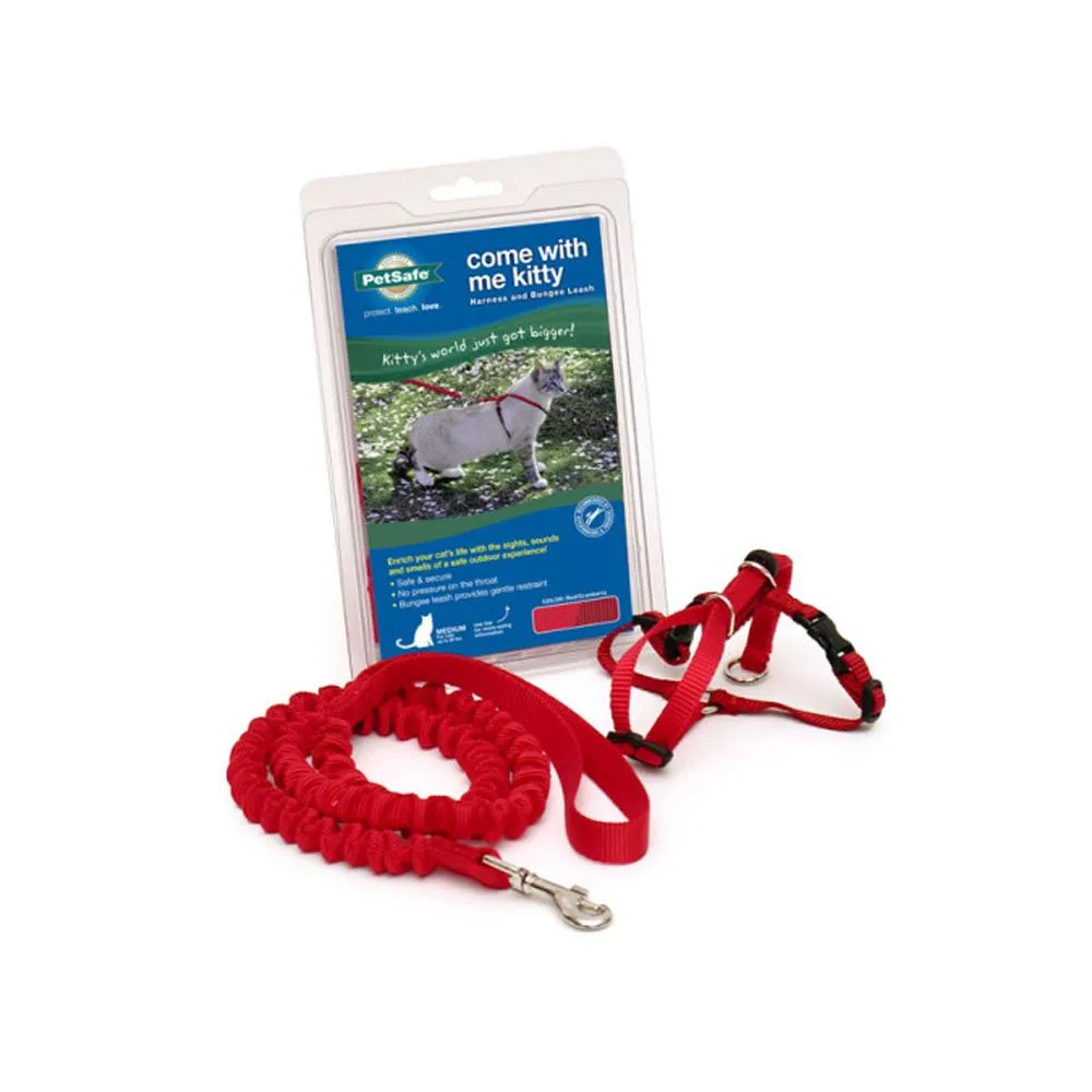 Come With Me Kitty Harness and Bungee Leash