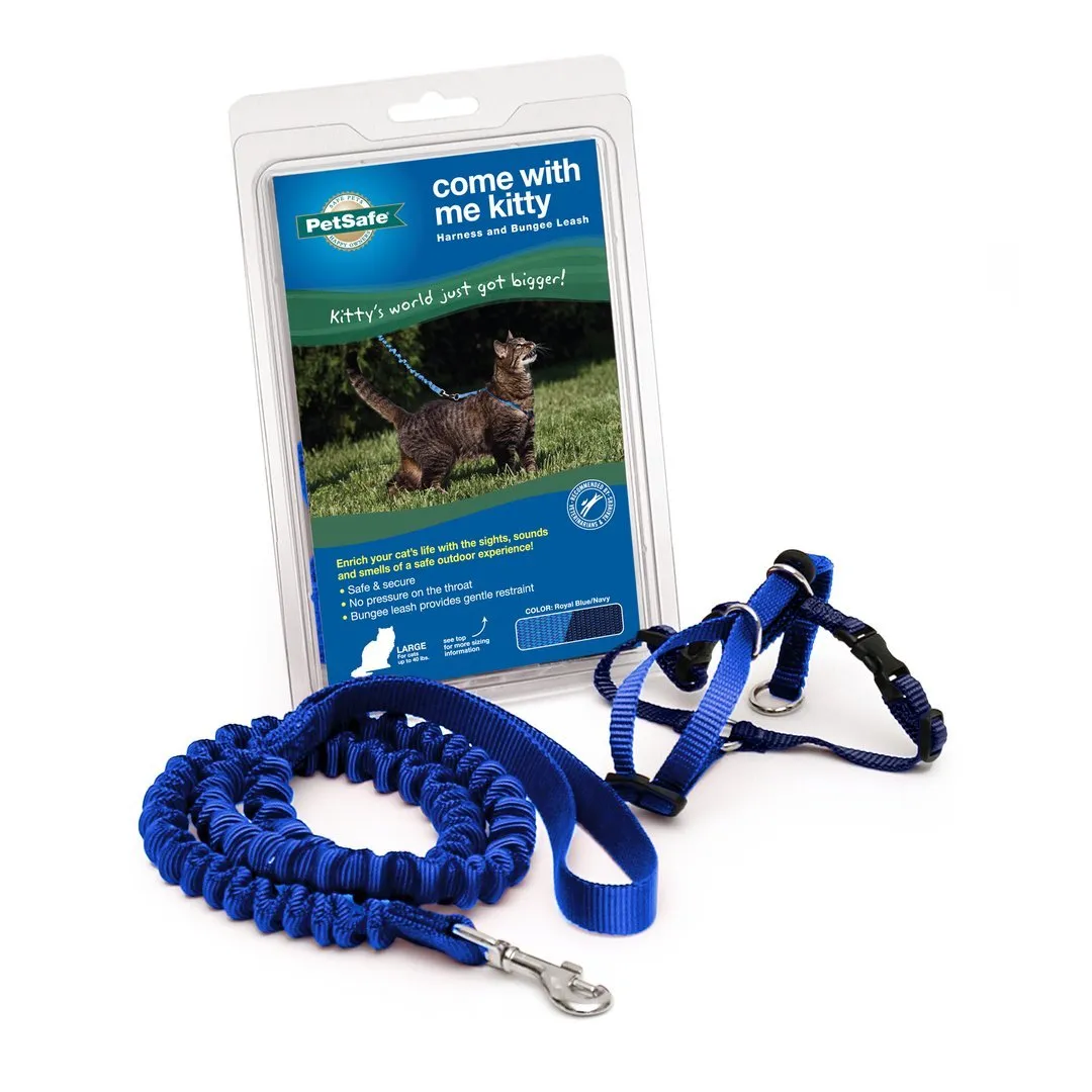 Come With Me Kitty Harness and Bungee Leash