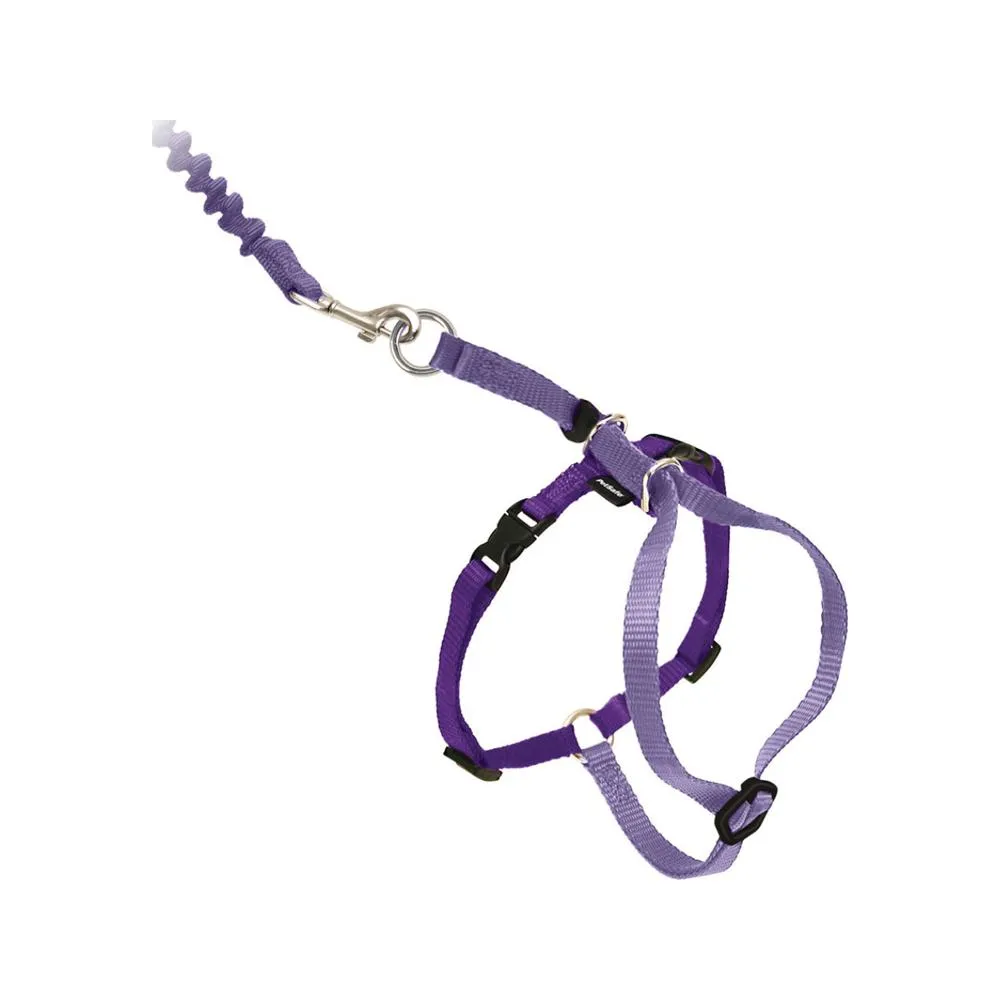 Come With Me Kitty Harness and Bungee Leash