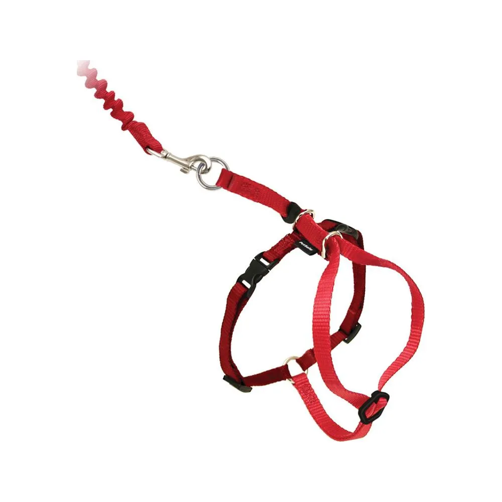 Come With Me Kitty Harness and Bungee Leash