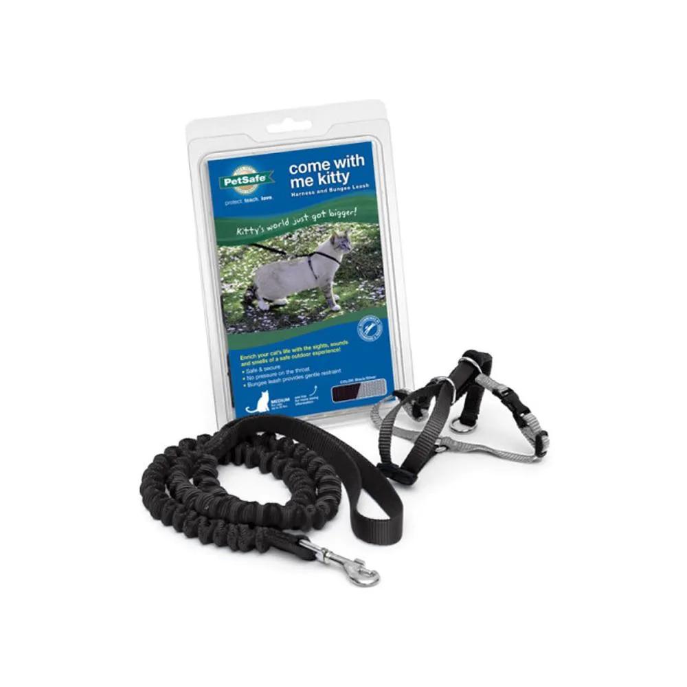 Come With Me Kitty Harness and Bungee Leash
