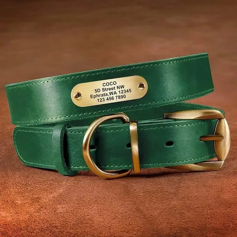 Dog Leather Collar w/ Gold Name Tag - Engrave Your Pet's ID