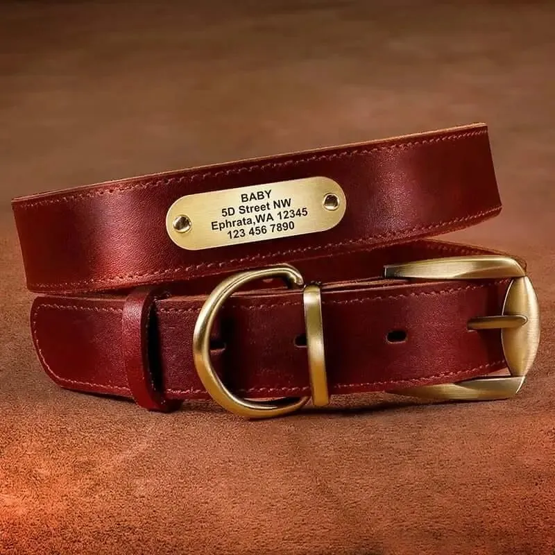 Dog Leather Collar w/ Gold Name Tag - Engrave Your Pet's ID