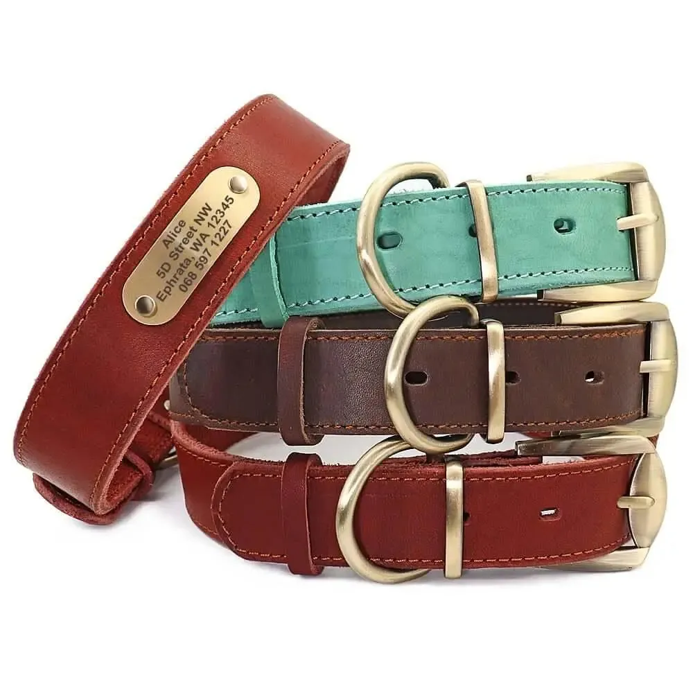 Dog Leather Collar w/ Gold Name Tag - Engrave Your Pet's ID