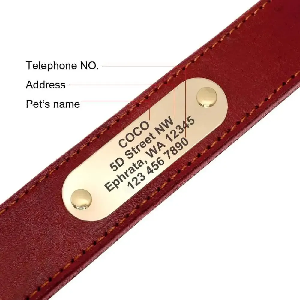 Dog Leather Collar w/ Gold Name Tag - Engrave Your Pet's ID