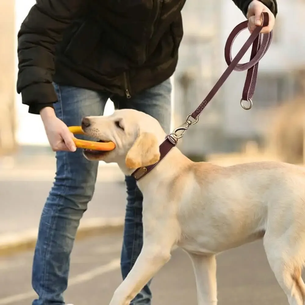 Dog Leather Collar w/ Gold Name Tag - Engrave Your Pet's ID