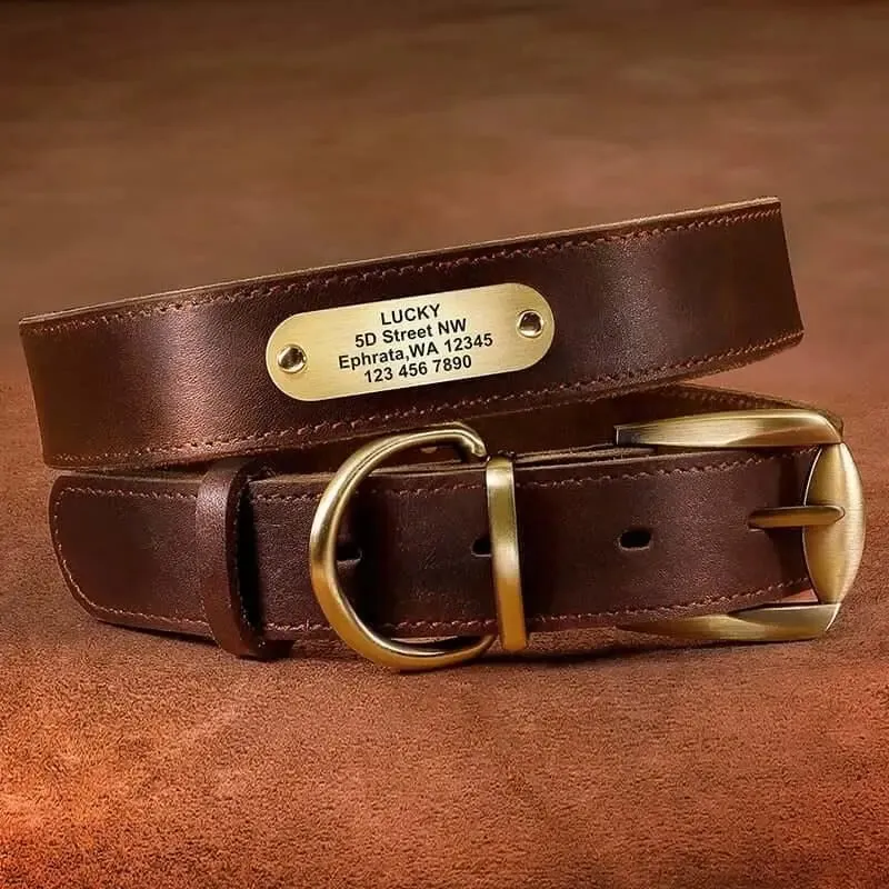 Dog Leather Collar w/ Gold Name Tag - Engrave Your Pet's ID
