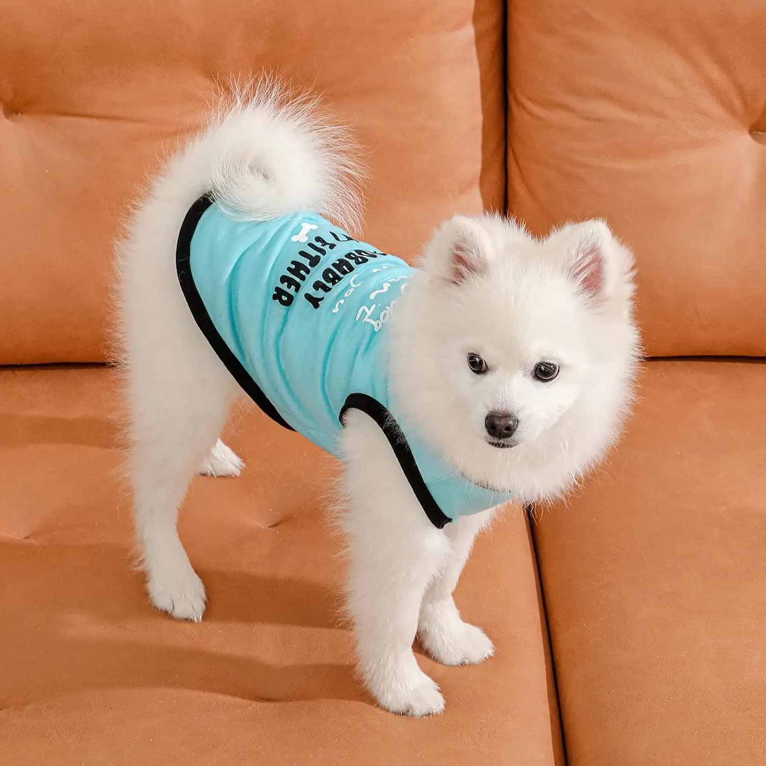 Dog Shirts Pet Printed Clothes with Funny Letters Summer Pet T Shirts Cool Puppy Shirts Breathable Dog Outfit Soft Dog Sweatshirt for Pet Dogs Cats (Large, Pattern-4)