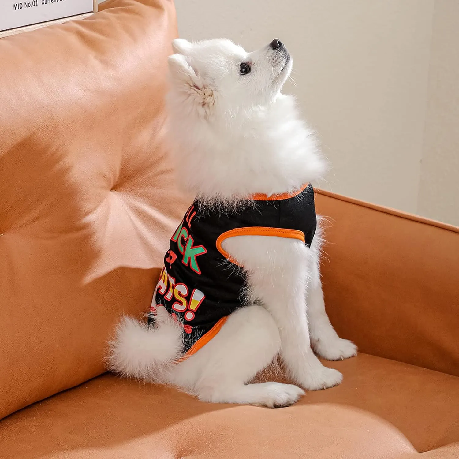 Dog Shirts Pet Printed Clothes with Funny Letters Summer Pet T Shirts Cool Puppy Shirts Breathable Dog Outfit Soft Dog Sweatshirt for Pet Dogs Cats (Small, Pattern-7)