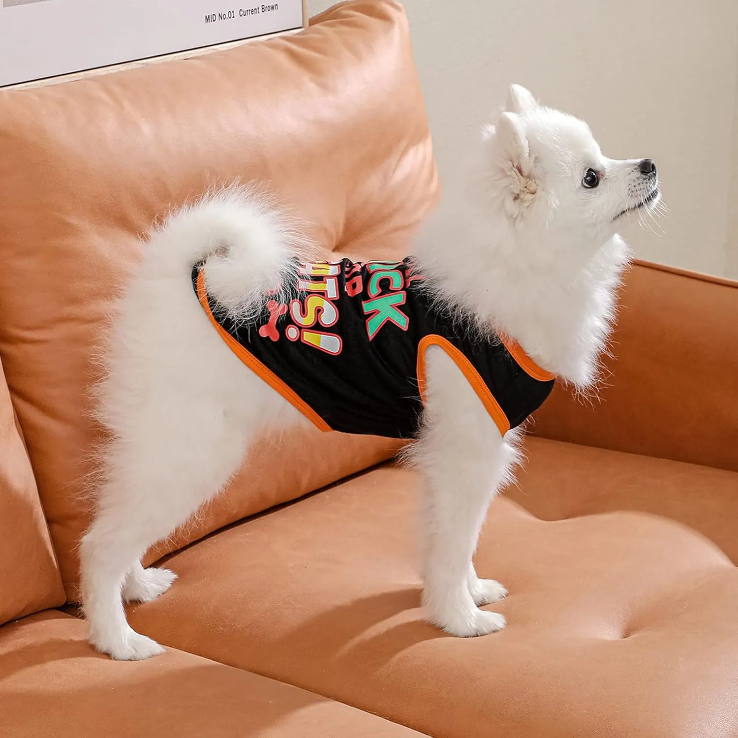 Dog Shirts Pet Printed Clothes with Funny Letters Summer Pet T Shirts Cool Puppy Shirts Breathable Dog Outfit Soft Dog Sweatshirt for Pet Dogs Cats (Small, Pattern-7)