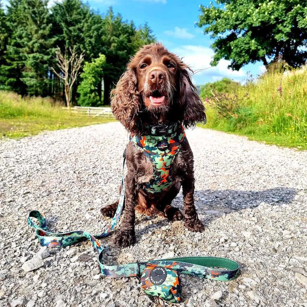 Earth Friendly - Trig Point Lead