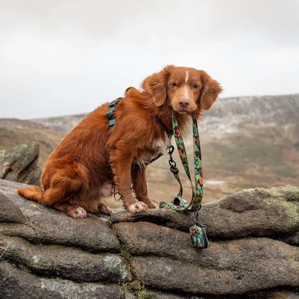 Earth Friendly - Trig Point Lead