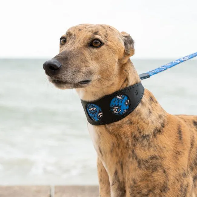 Eyes Hound Collar