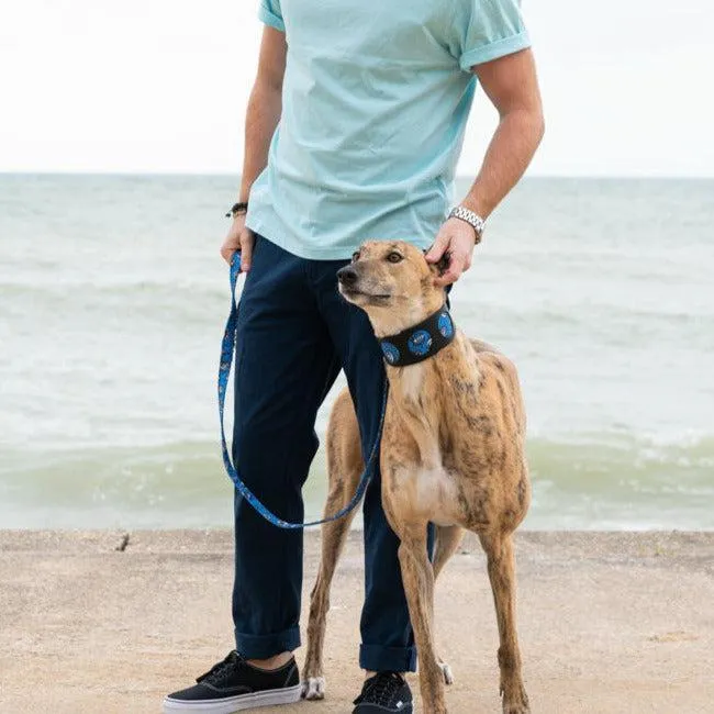 Eyes Hound Collar